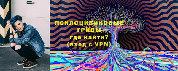 стафф Коряжма