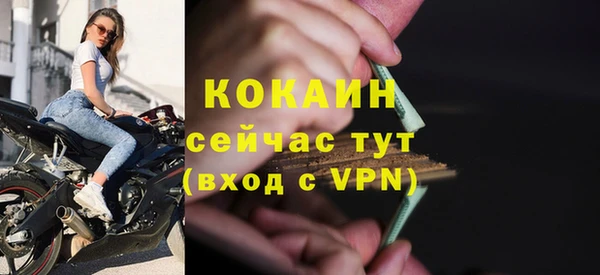 соль ск Козловка