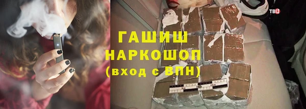 стаф Корсаков