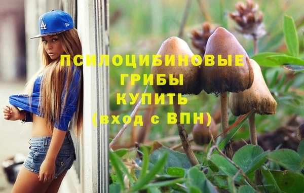 соль ск Козловка