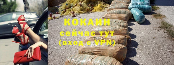 соль ск Козловка