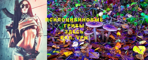 соль ск Козловка