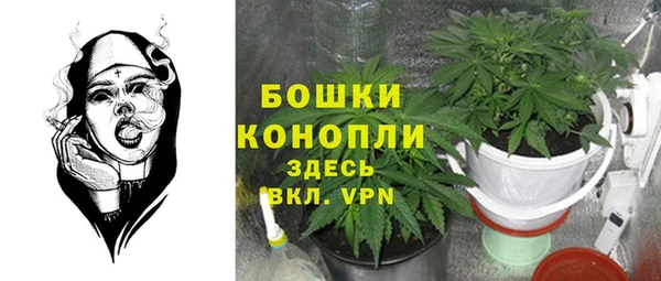 mix Кодинск
