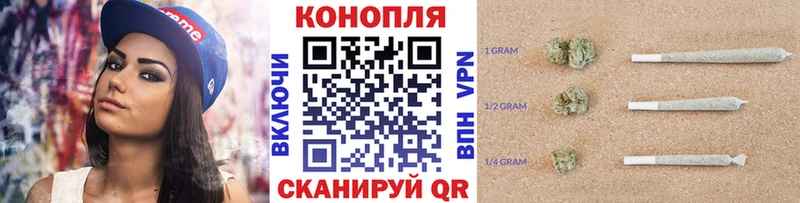 Купить где  Ворсма  Конопля марихуана 